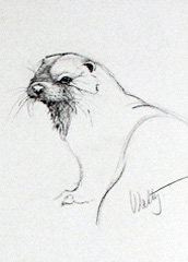 otter